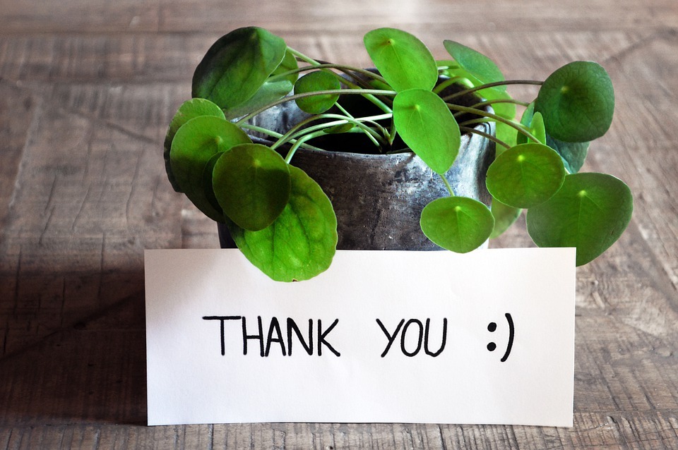 Thank you